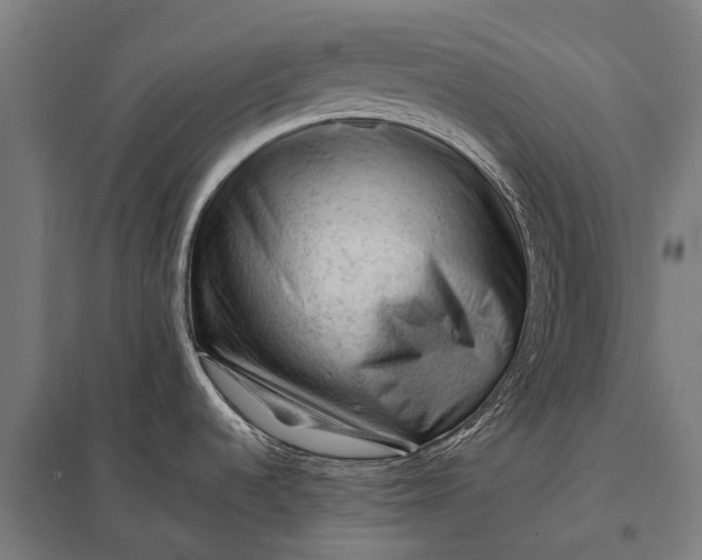 X0000097841536200803281212