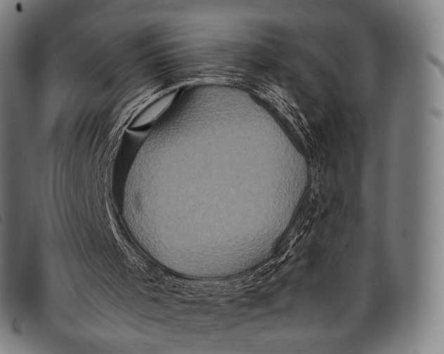X0000097840001200804041454