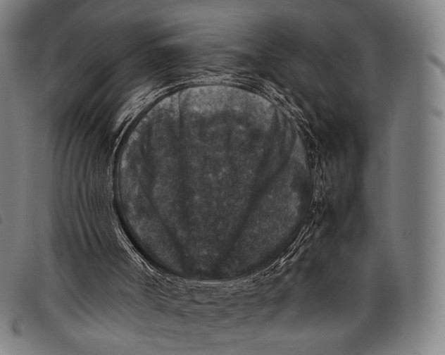 X0000097840002200804041454