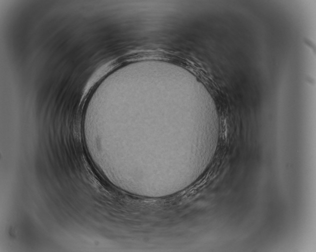 X0000097840004200804041454