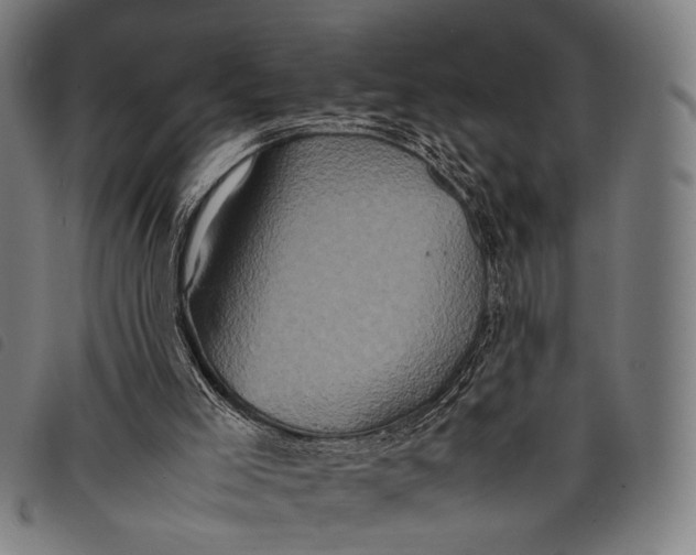 X0000097840005200804041454