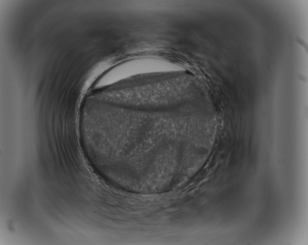X0000097840006200804041454