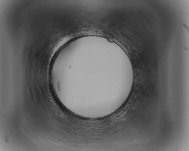 X0000097840008200804041454