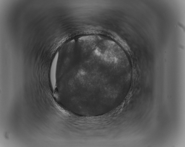X0000097840009200804041454