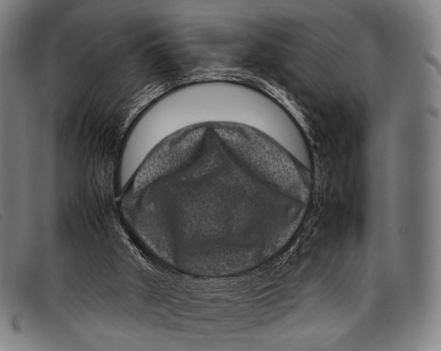 X0000097840010200804041454