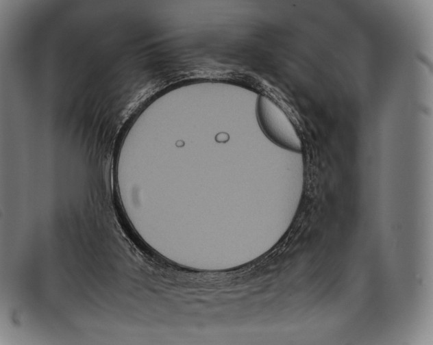 X0000097840011200804041454