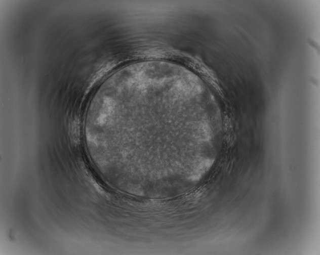 X0000097840012200804041454