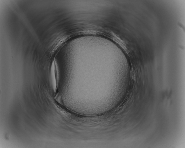 X0000097840013200804041454