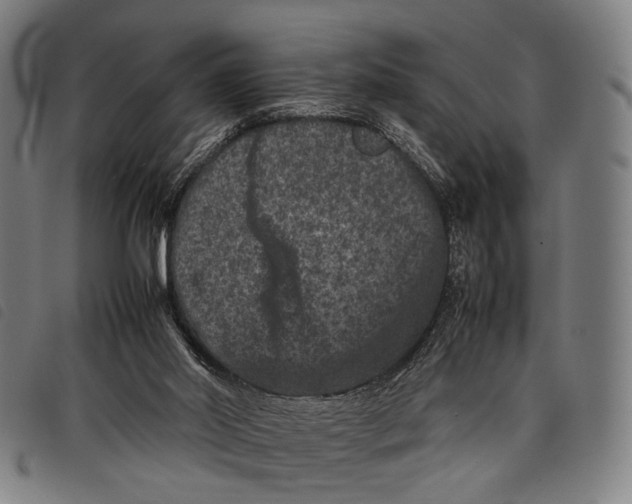 X0000097840014200804041454