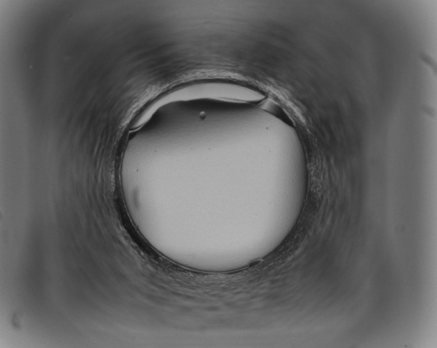 X0000097840015200804041454