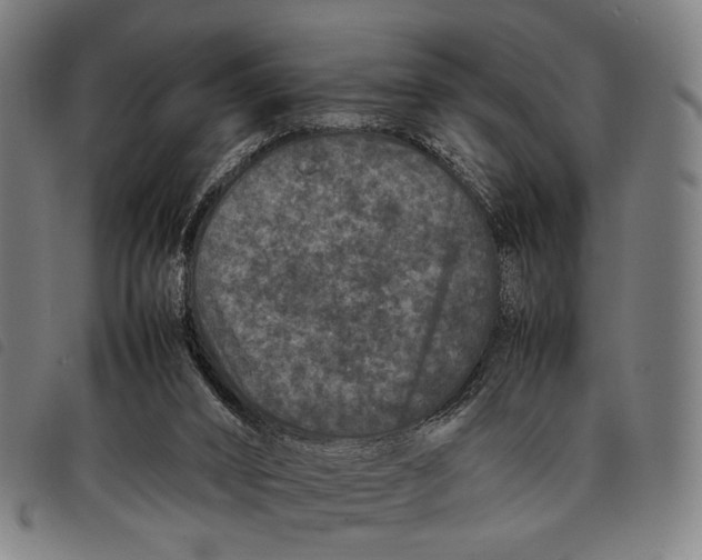 X0000097840016200804041454