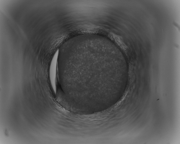 X0000097840017200804041454