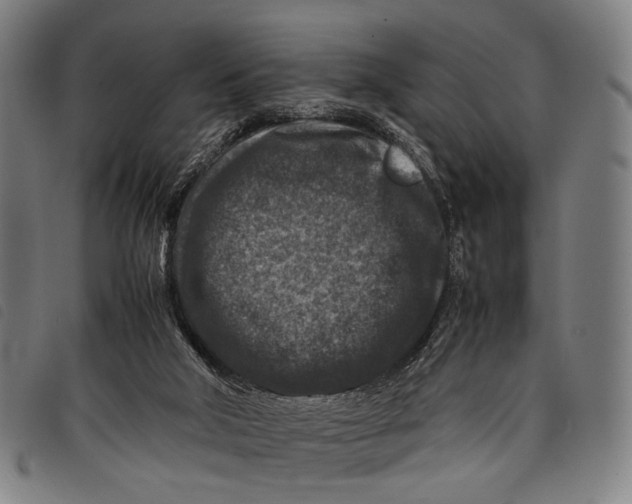 X0000097840018200804041454
