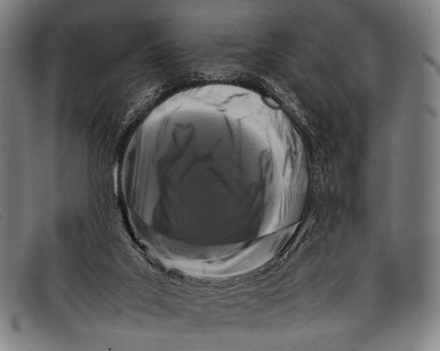 X0000097840019200804041454