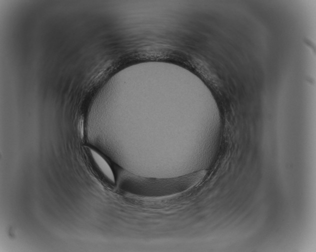 X0000097840021200804041454