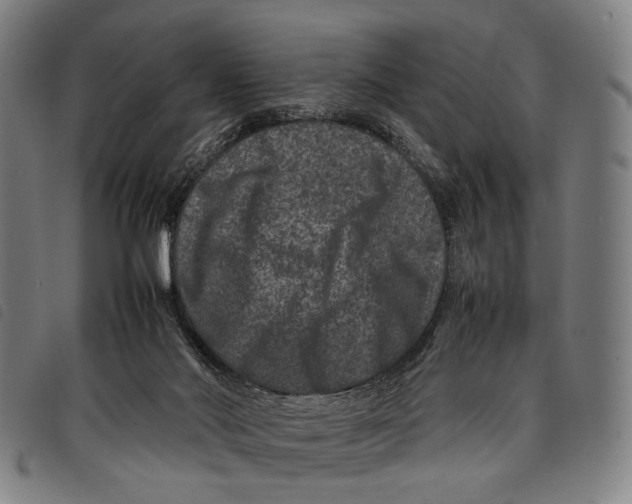 X0000097840022200804041454