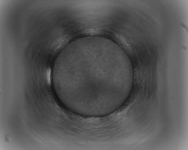 X0000097840024200804041454