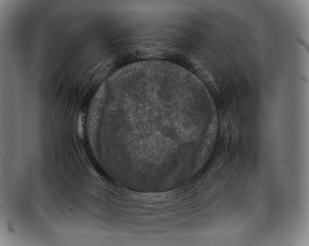 X0000097840026200804041454