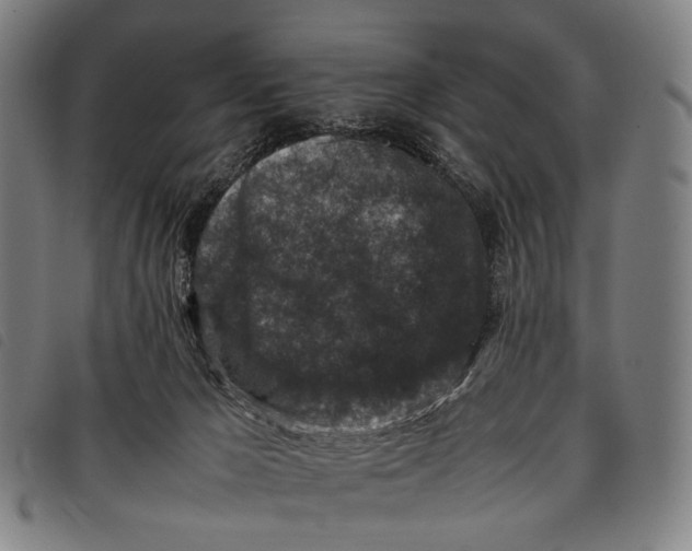 X0000097840029200804041454