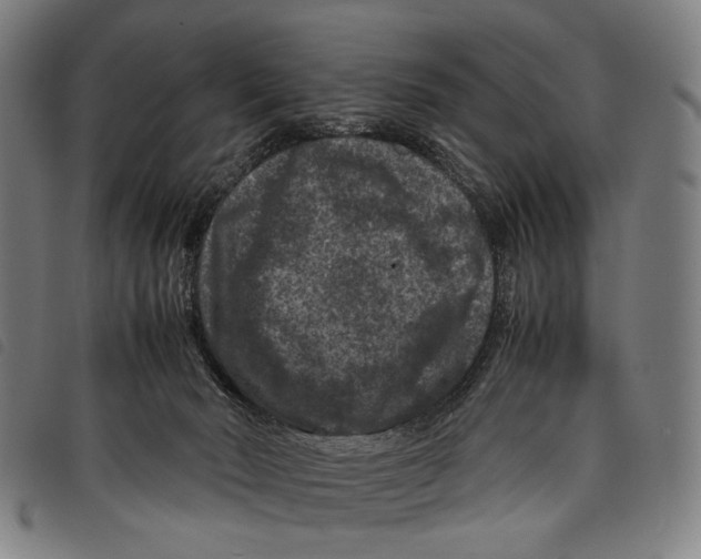 X0000097840030200804041454