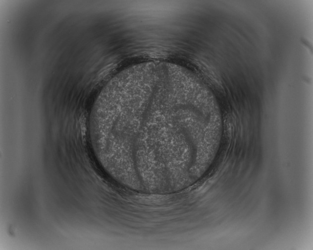 X0000097840032200804041454
