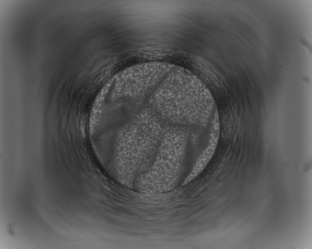 X0000097840034200804041454