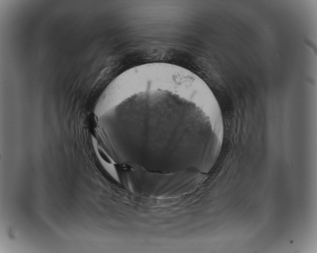 X0000097840035200804041453