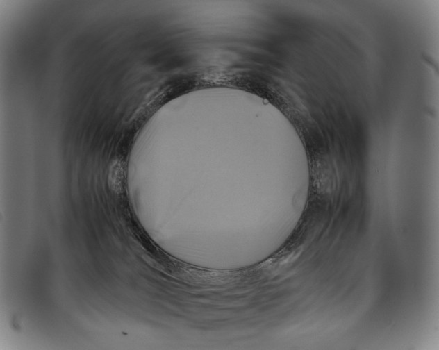X0000097840036200804041453