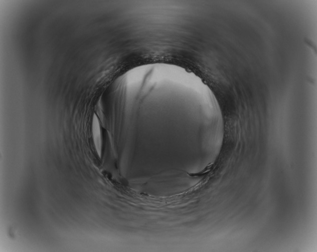 X0000097840039200804041453