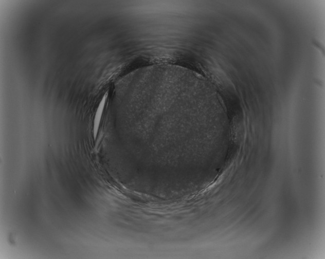X0000097840041200804041453