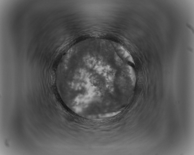 X0000097840043200804041453