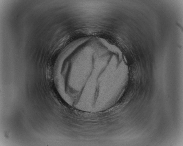 X0000097840044200804041453