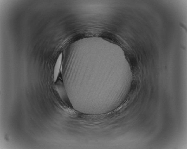 X0000097840045200804041453