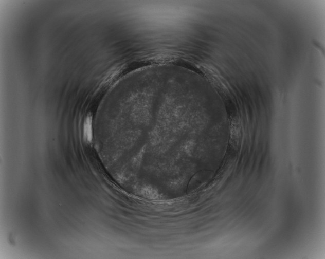 X0000097840046200804041453