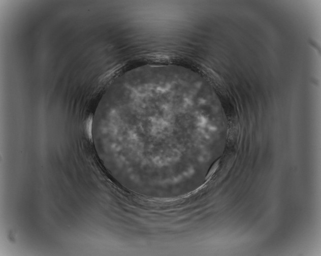 X0000097840047200804041453