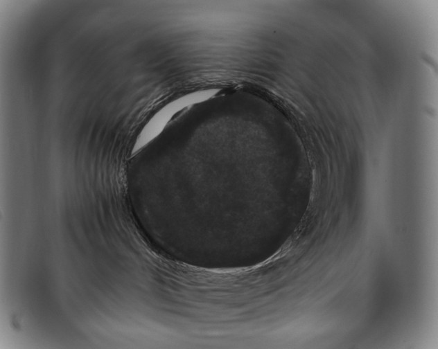 X0000097840048200804041453