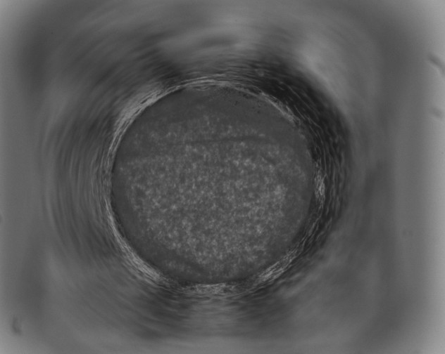 X0000097840049200804041452