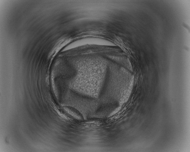 X0000097840050200804041452