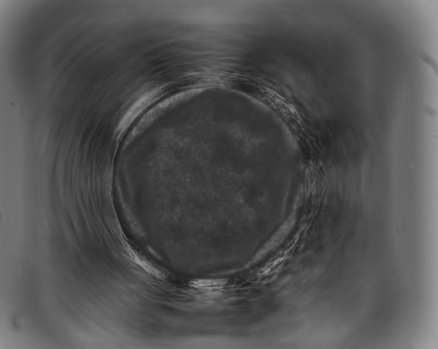 X0000097840051200804041453