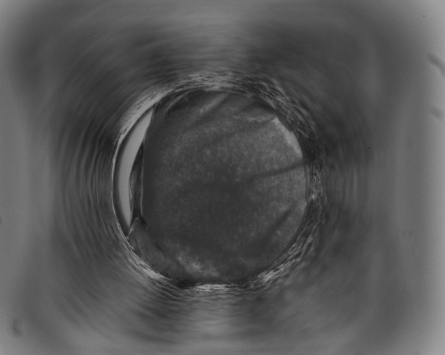 X0000097840052200804041453