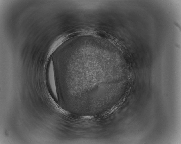 X0000097840053200804041453