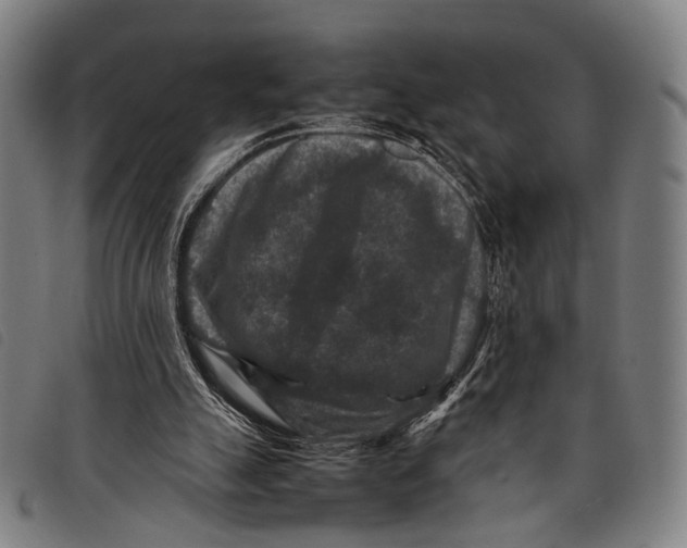 X0000097840055200804041453