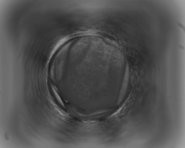 X0000097840056200804041453