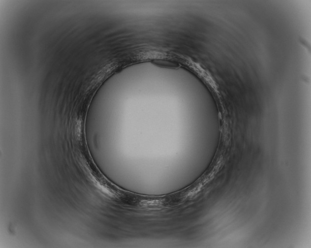 X0000097840057200804041453