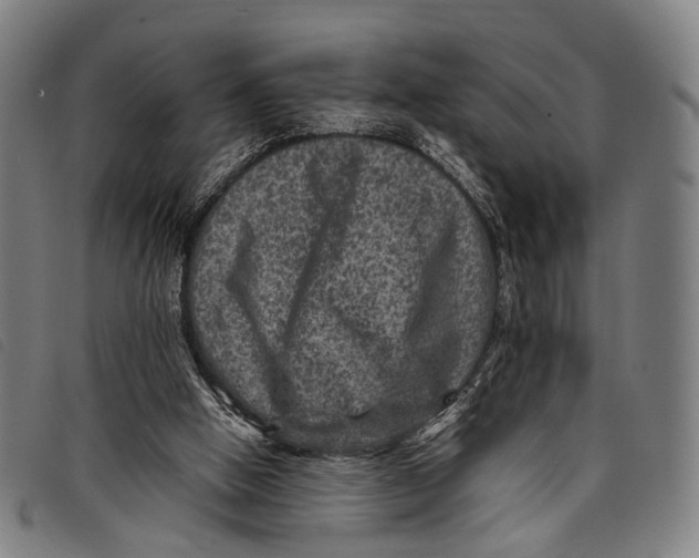 X0000097840058200804041453