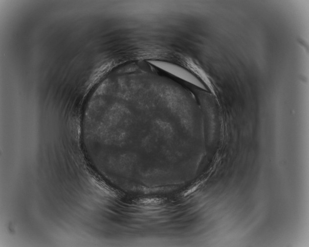 X0000097840059200804041453