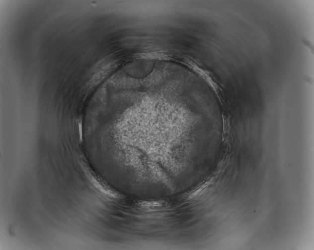X0000097840061200804041453