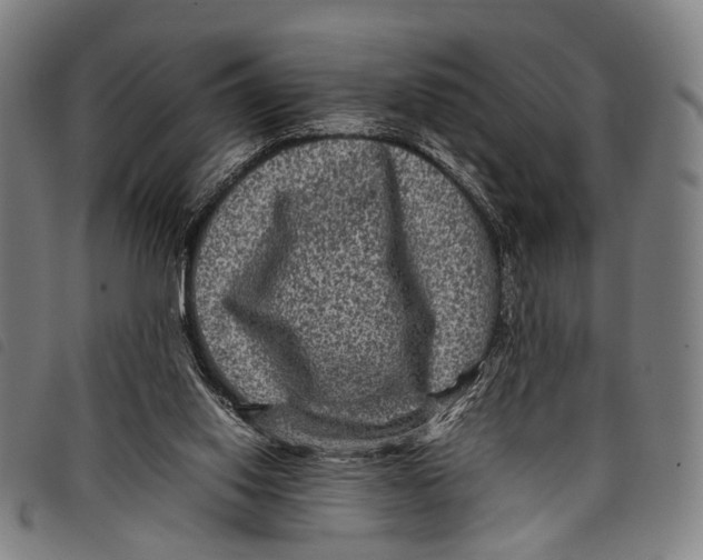 X0000097840062200804041453