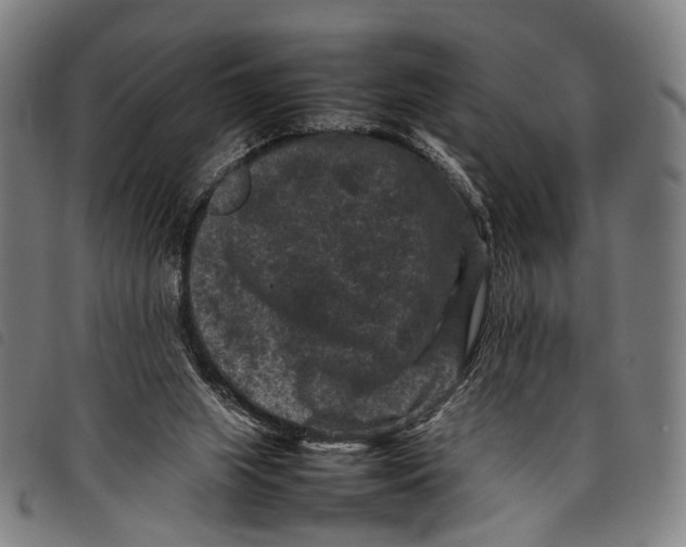 X0000097840063200804041453