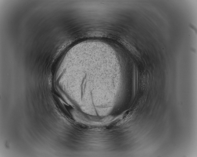 X0000097840064200804041453